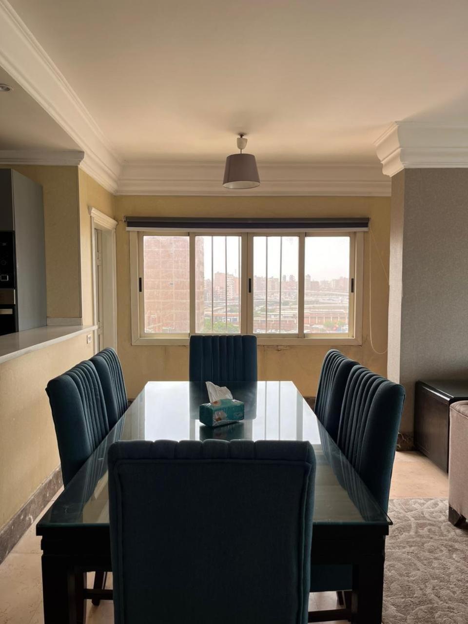 Apartment شقه فندقيه علي نهر النيل 704